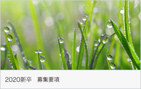新卒 募集要項