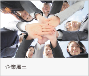 企業風土